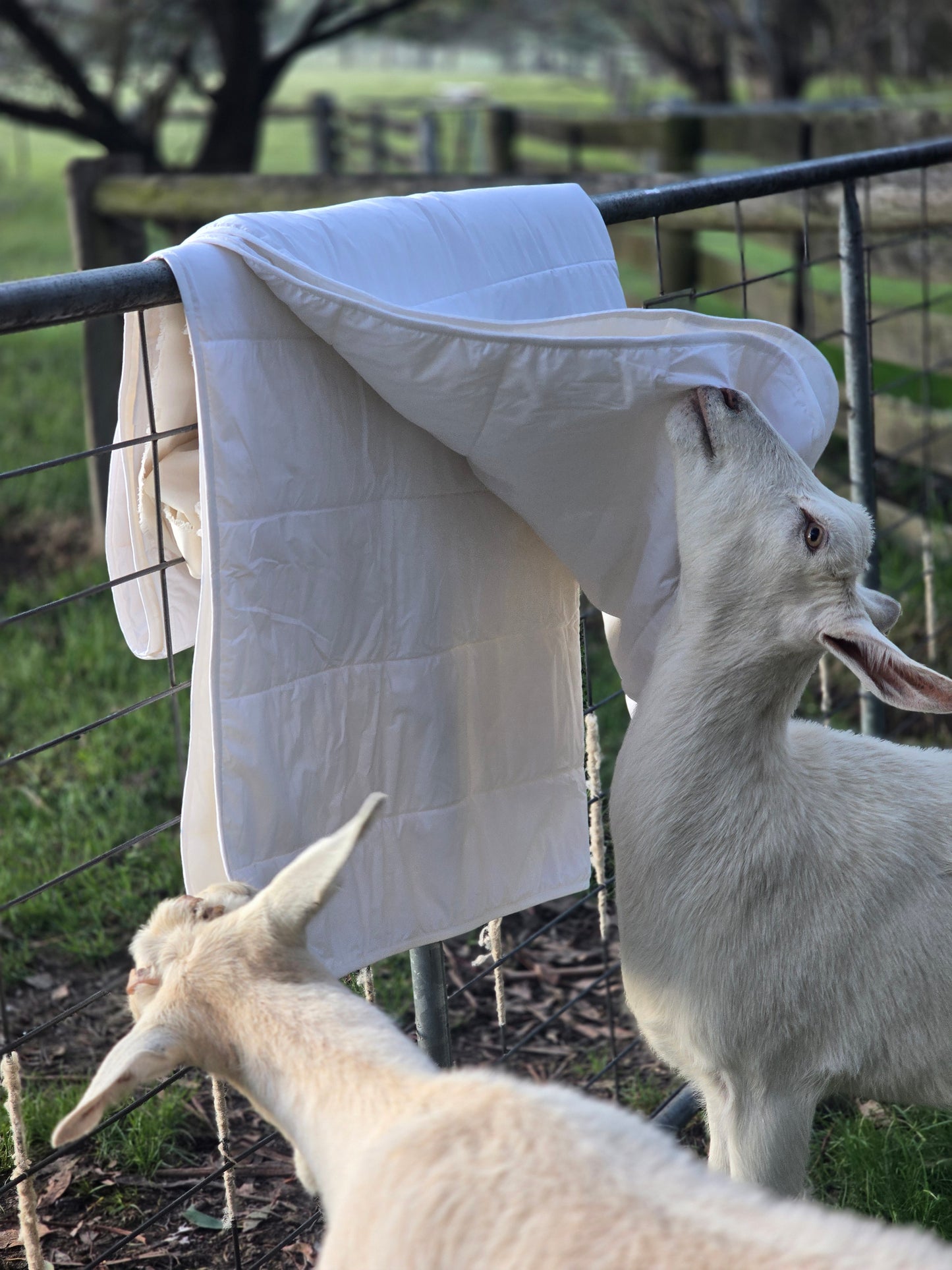 Natural Summer Quilt