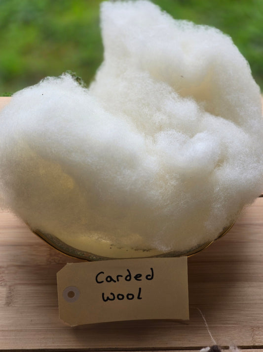 Carded Wool