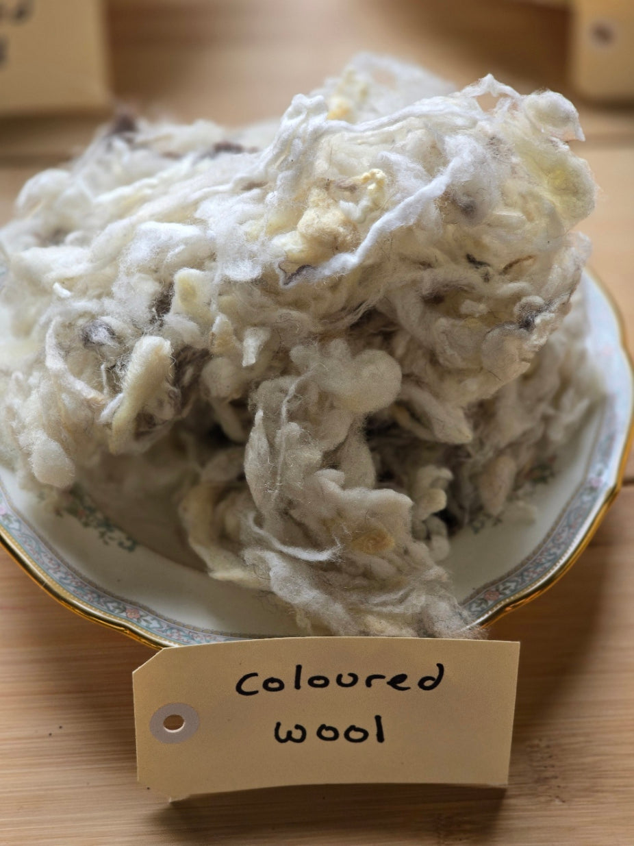 Coloured wool