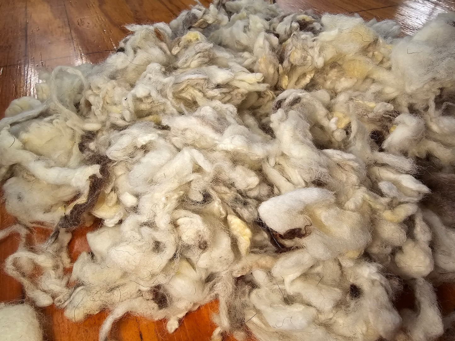 Coloured wool