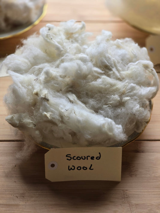 Scoured Downs Wool